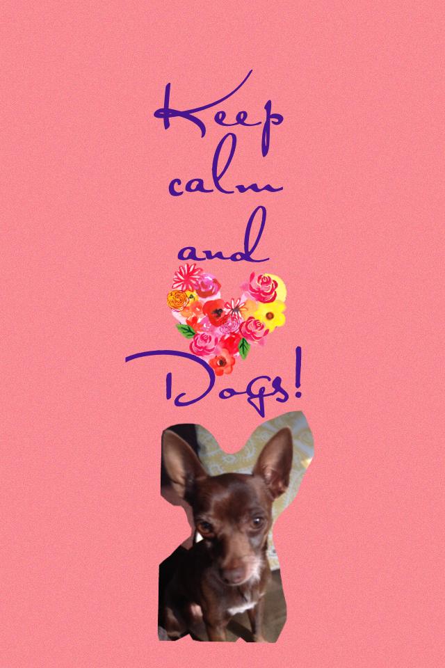 Keep calm and love Dogs!