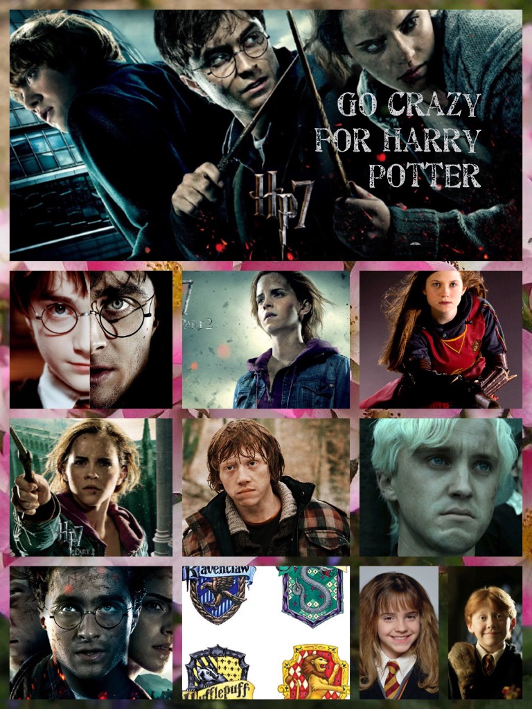 Go crazy for Harry Potter 