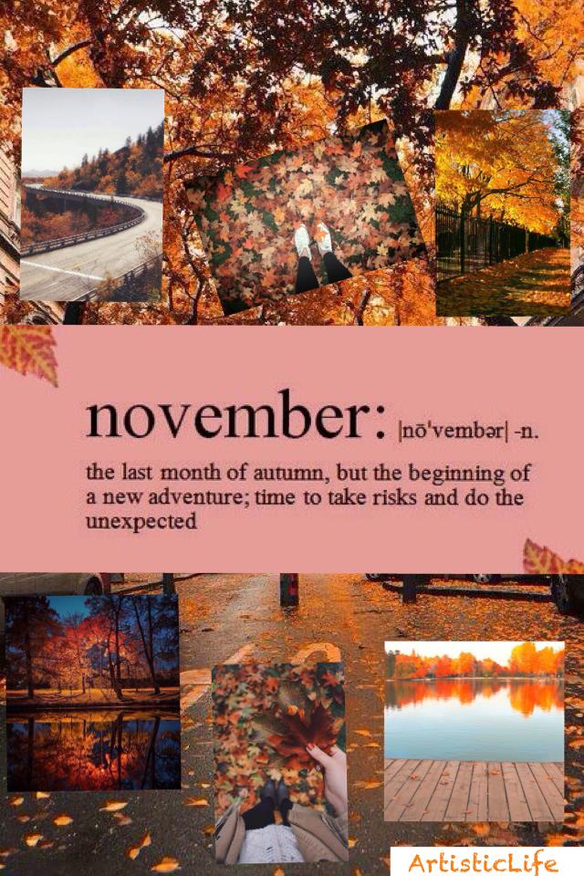 🍁🍂🍁 November 🍁🍂🍁