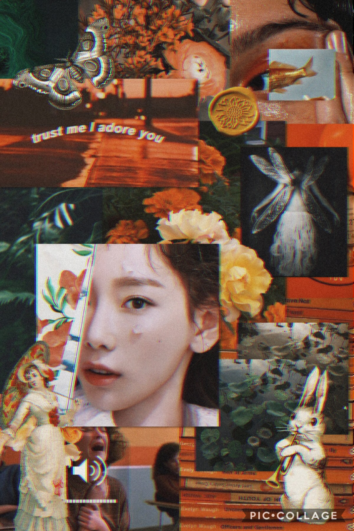 🐇🍂 𝒸𝓁𝒾𝒸𝓀 𝒽𝑒𝓇🍂🐇
Ｏ(≧▽≦)Ｏ  - ♡´･ᴗ･`♡ 
Kim Taeyeon | #aesthetic #vintage #orange #yellow #green #blackandwhite #fairy #ninfa #forest #butterfly #fish 
