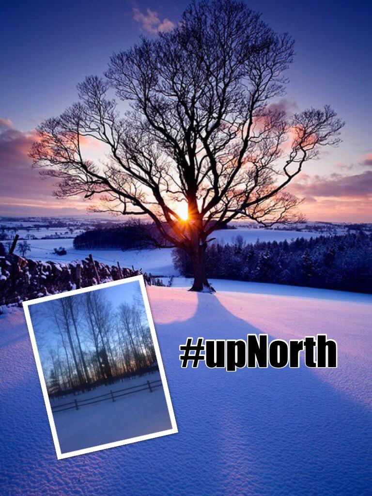 #upNorth