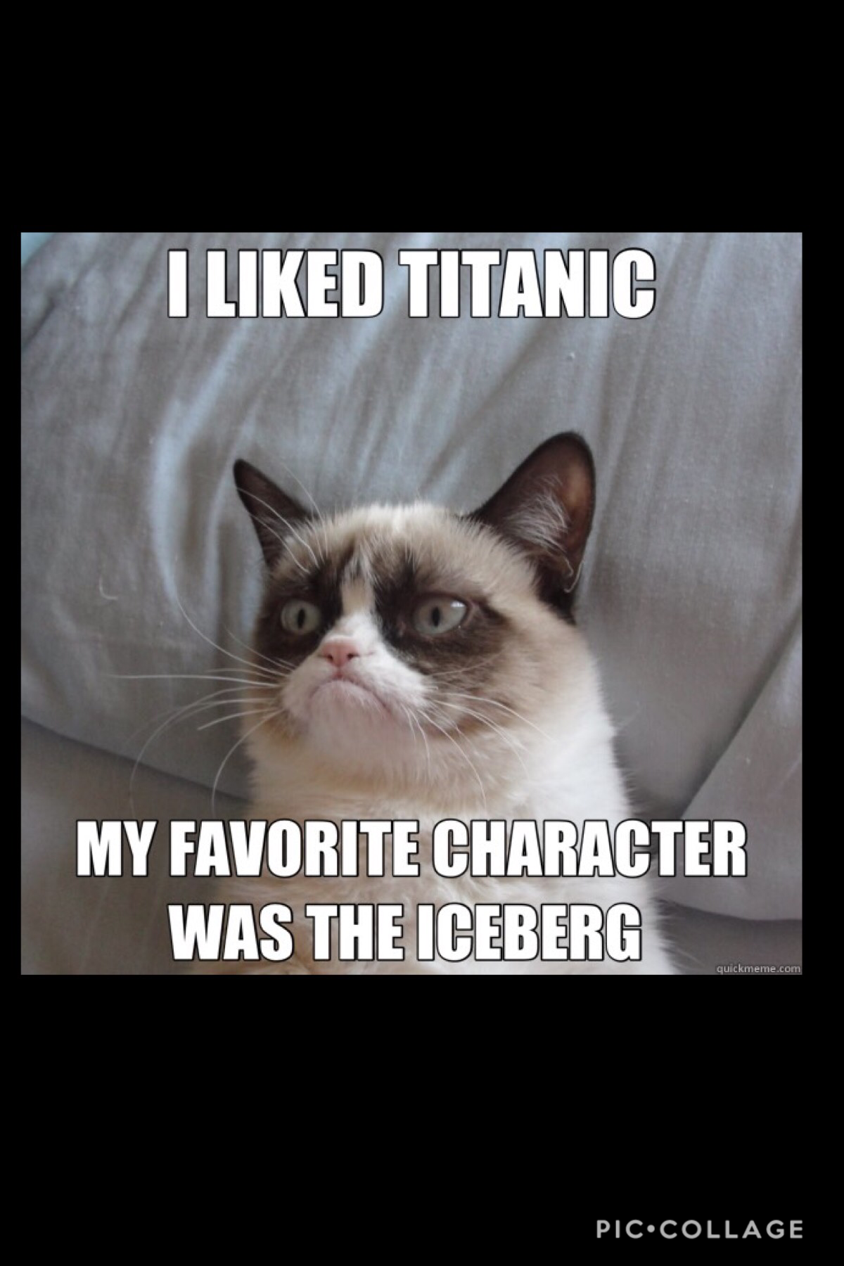 My favouite character was the iceberg too.