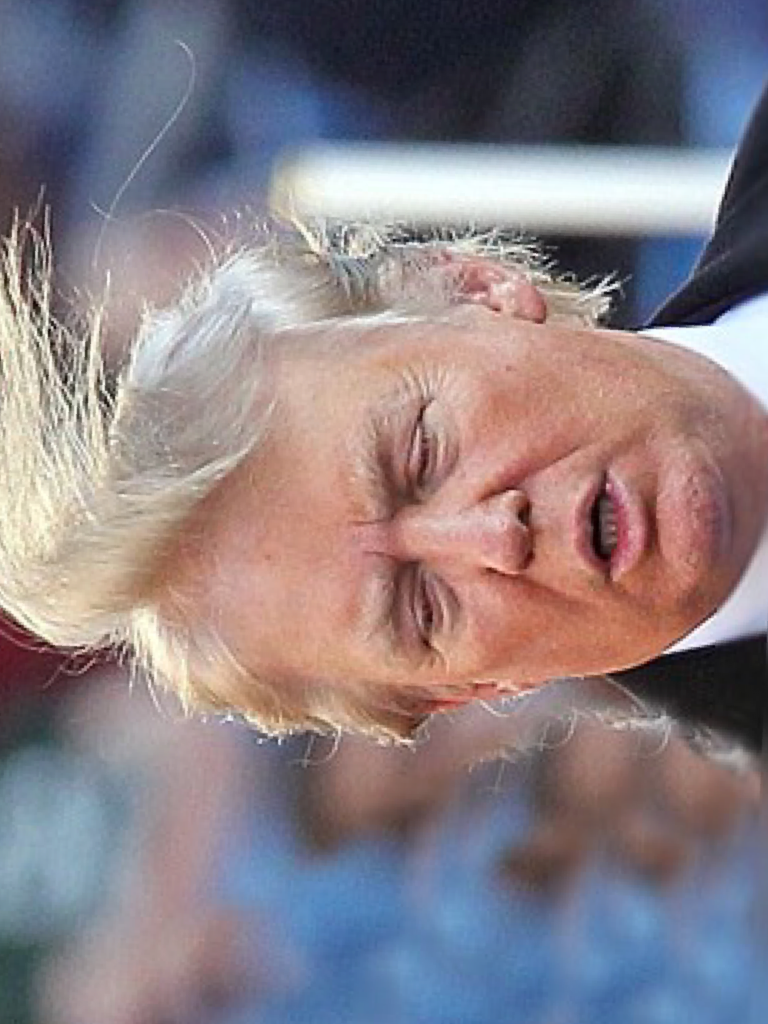 What the heck is wrong with the guys hair?

And this is going to be our presidents hair