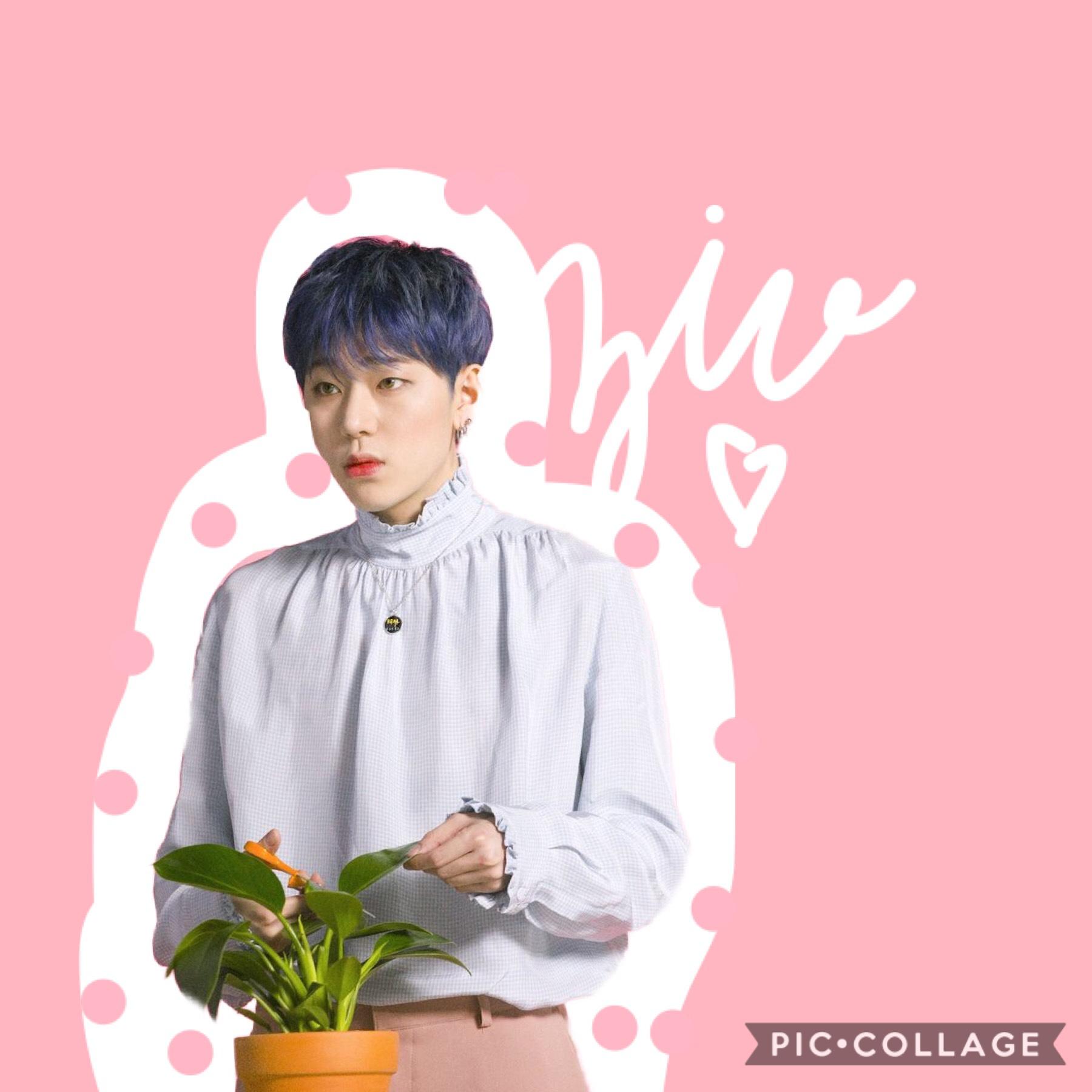 Can zico with plants just be an aesthetic