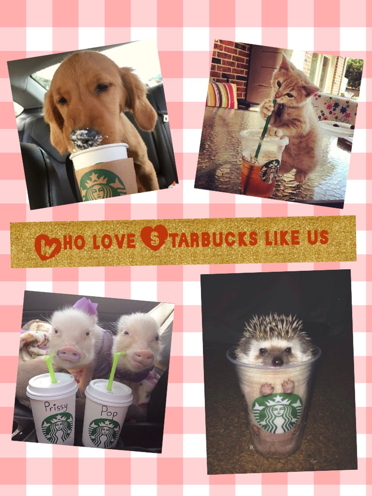 Who love Starbucks like us 