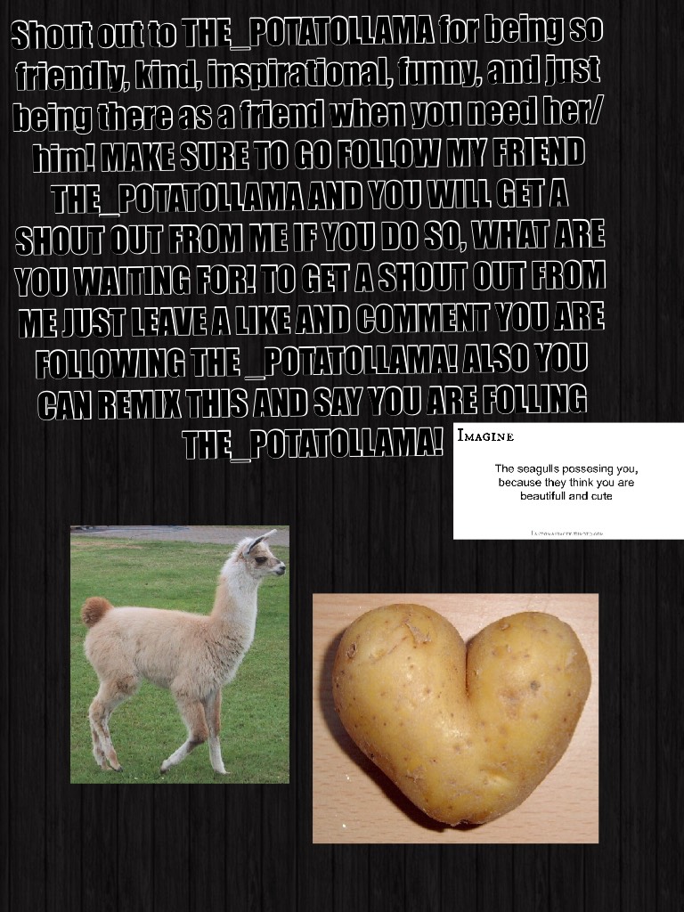 Shout out to THE_POTATOLLAMA for being so friendly, kind, inspirational, funny, and just being there as a friend when you need her/him! MAKE SURE TO GO FOLLOW MY FRIEND THE_POTATOLLAMA AND YOU WILL GET A SHOUT OUT FROM ME IF YOU DO SO, WHAT ARE YOU WAITIN