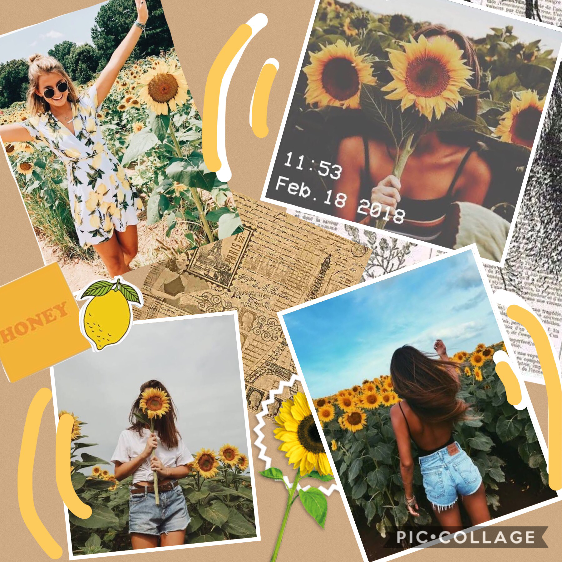 Hey guys! I’m new here, I hope you like my first collage 🌻