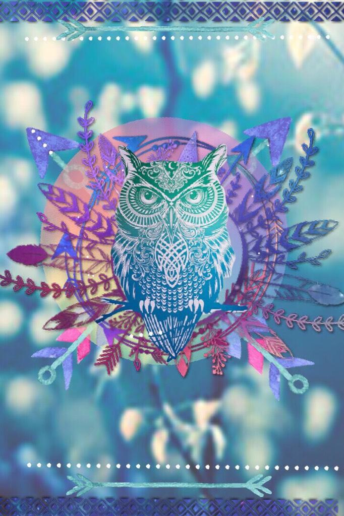 Falling down down the rabbit hole#owl version