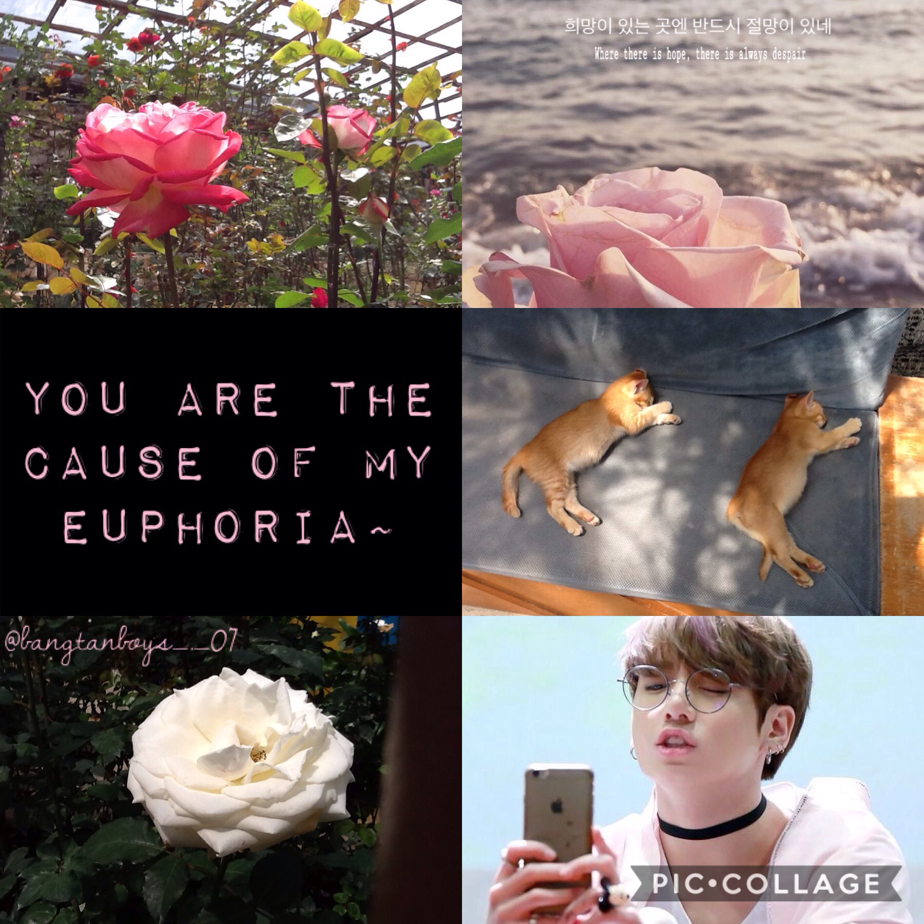 Your Utopia is my Euphoria~✨