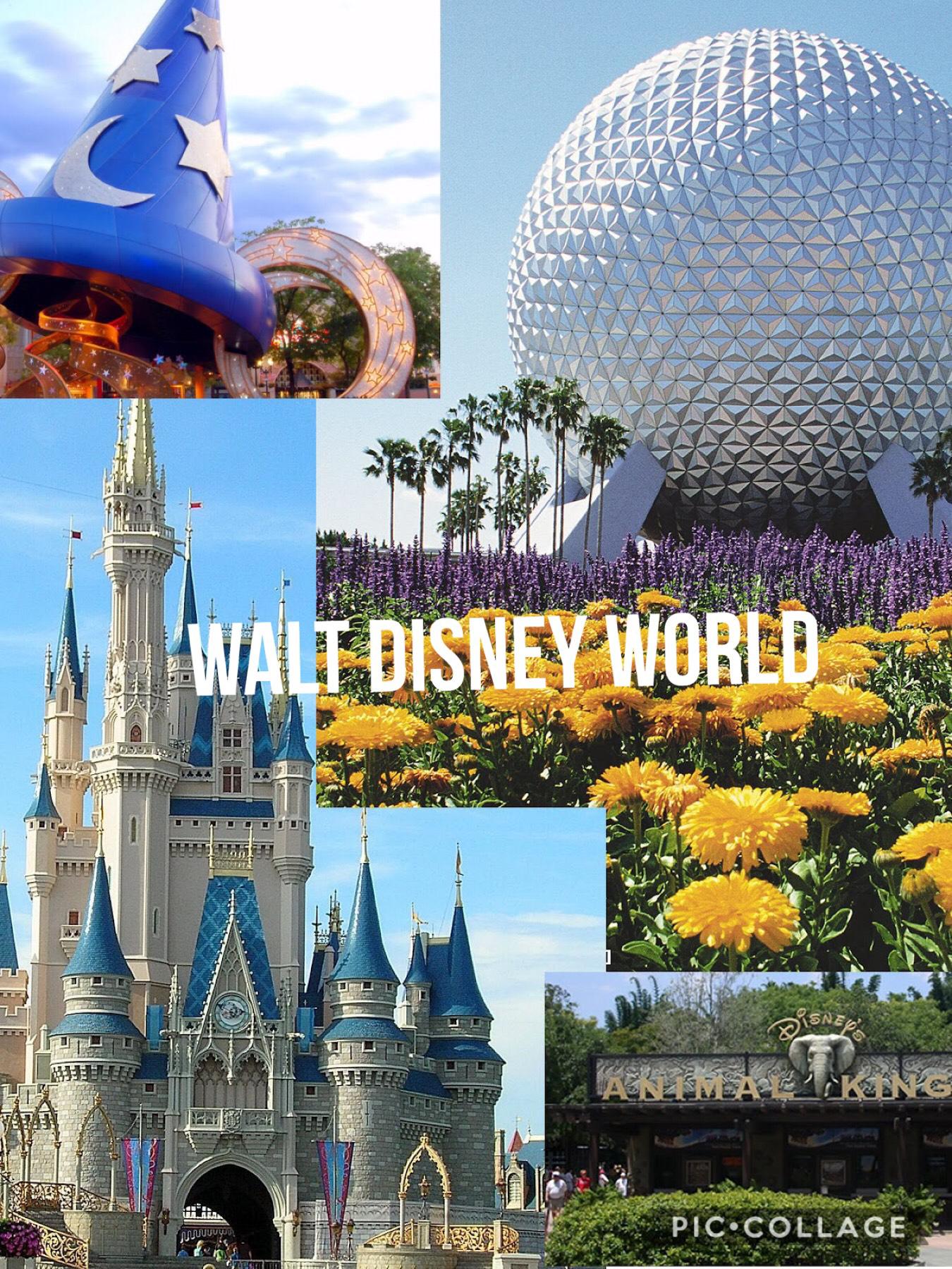 Hello welcome to my page hope you like it!
#disneyworld #piccollage