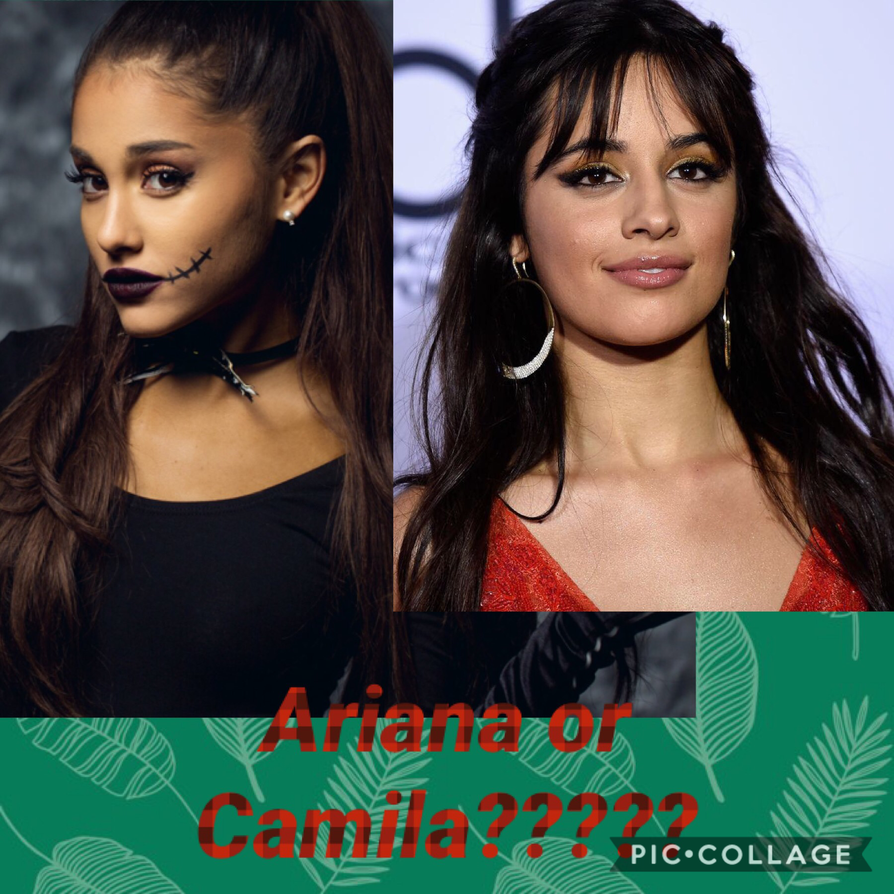 Ariana or Camila???

Comment down below👎👎👎