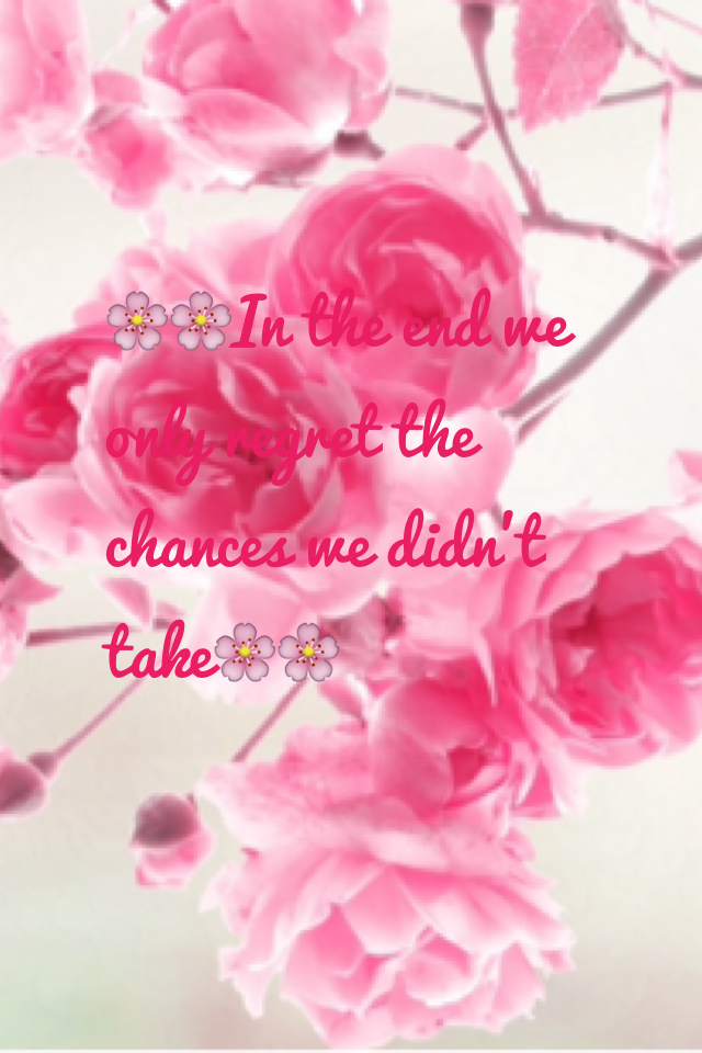 🌸🌸In the end we only regret the chances we didn't take🌸🌸