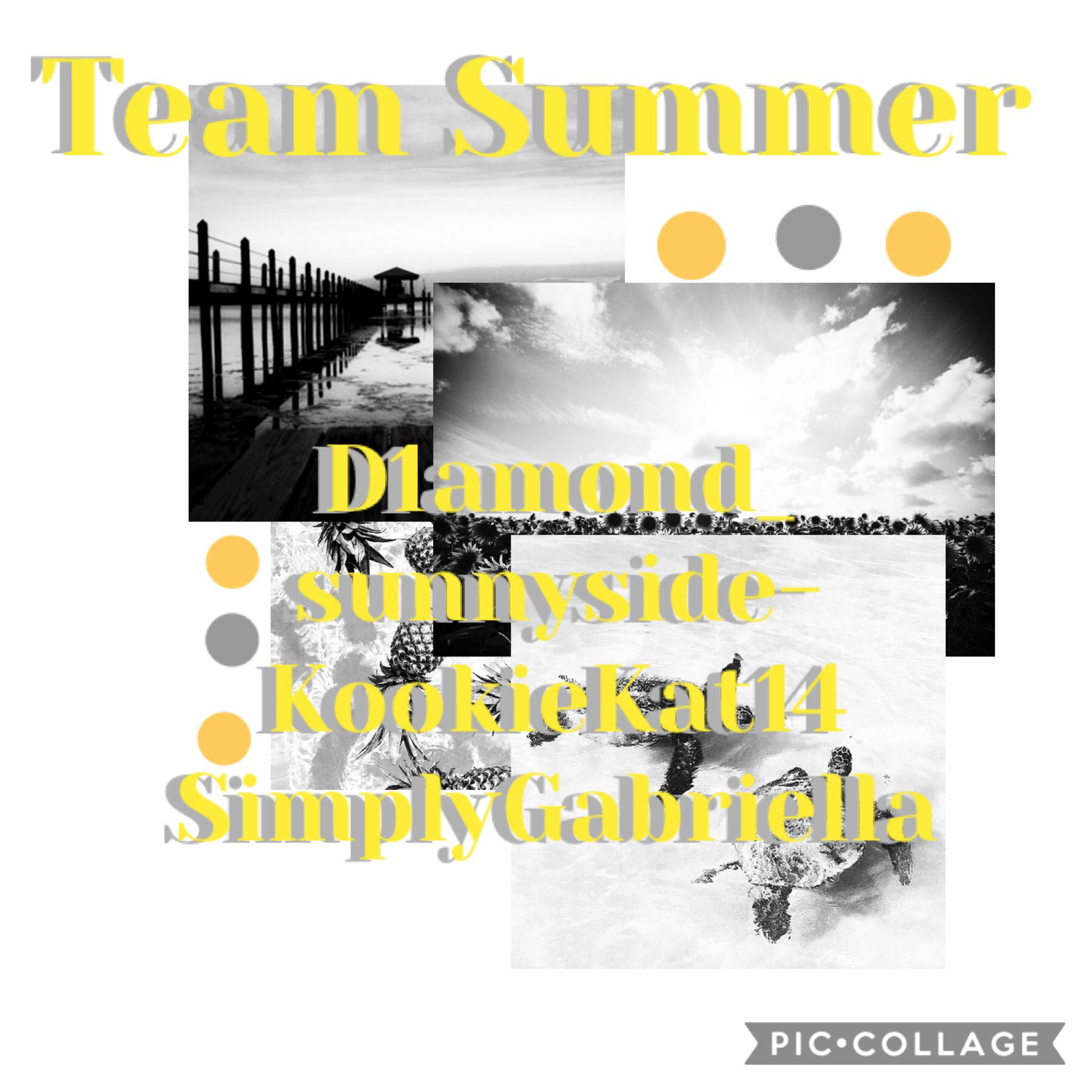 Thank you so much The_Divergent-Tribute! Now team Summer have four people! Which means I need one person for each of the other teams! 