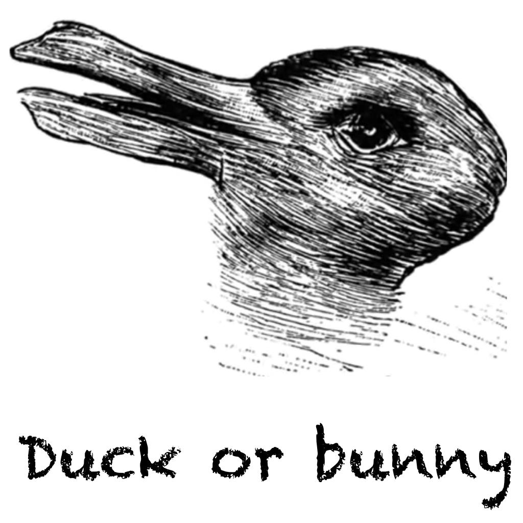 Duck or bunny 