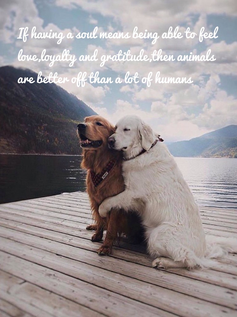 Animals are special❤️