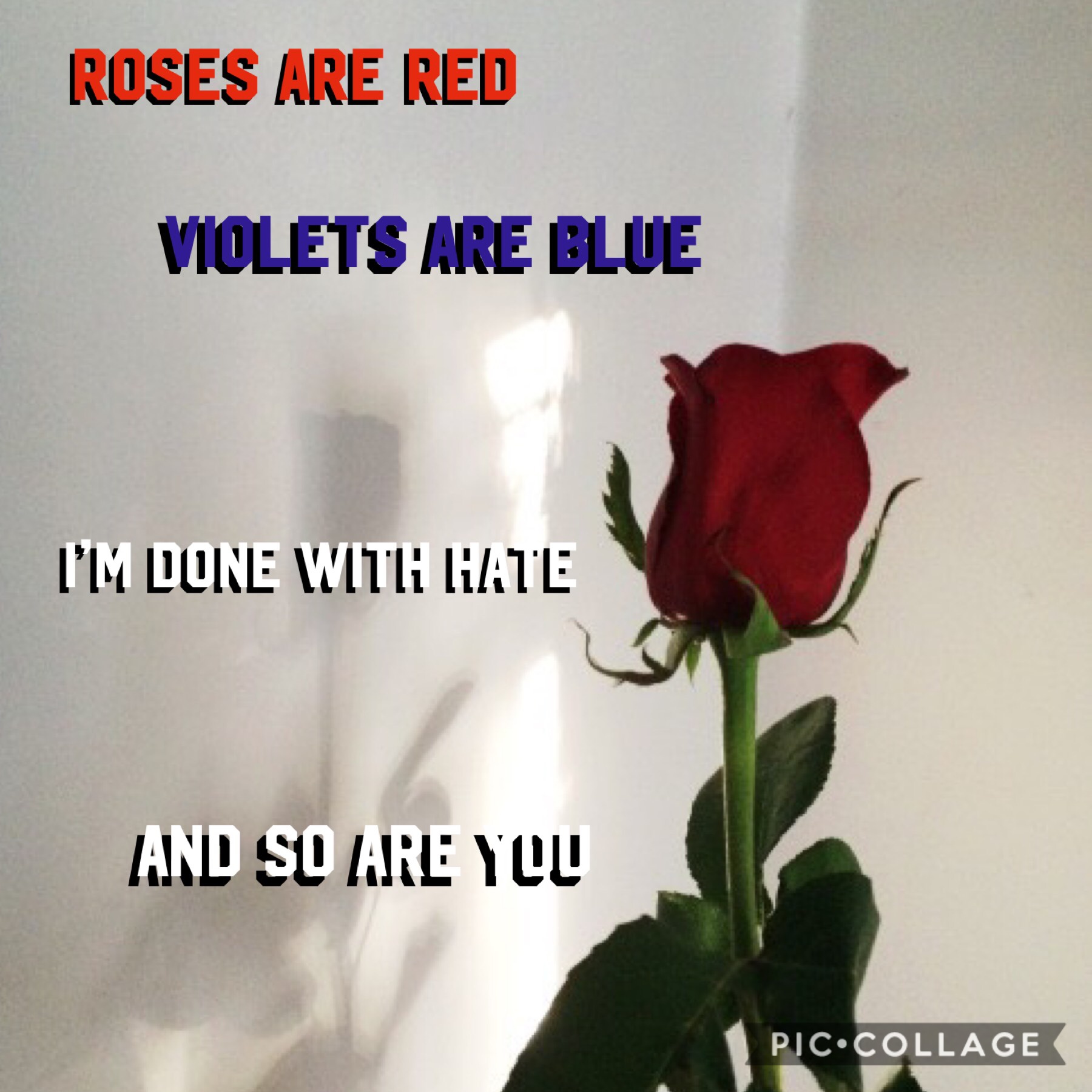 😂Tap😂


Yes another roses are red “Poem” I just had to post it😂😂😂