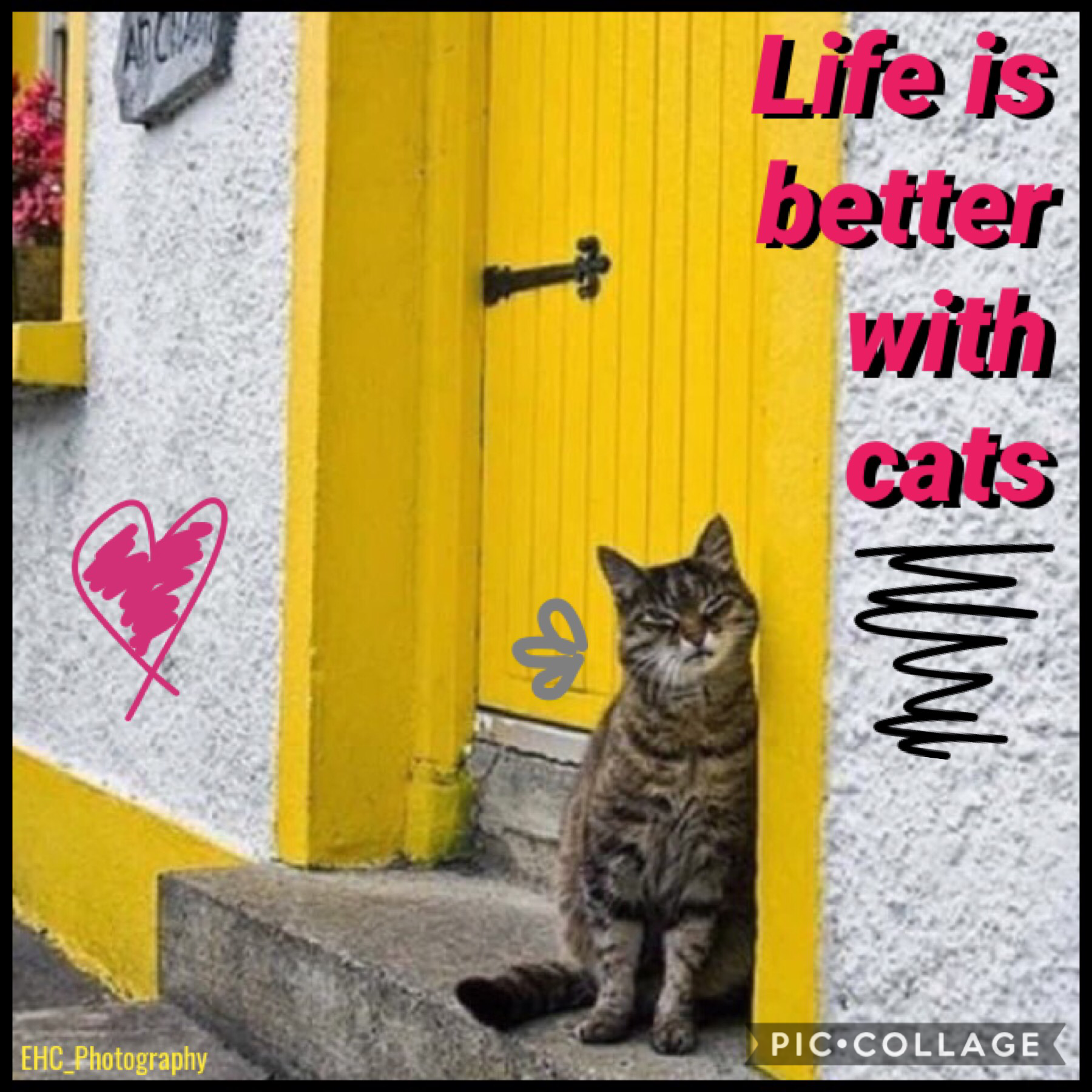 Happy International Cat Day! 😺 💖🚪I made this a while ago. 😻 It’s also Bowling Day! 🎳 QOTD: Do you have a cat? 🐈 AOTD: Yas, we have 3. 😽 Don’t have anything else to say... 😹 
