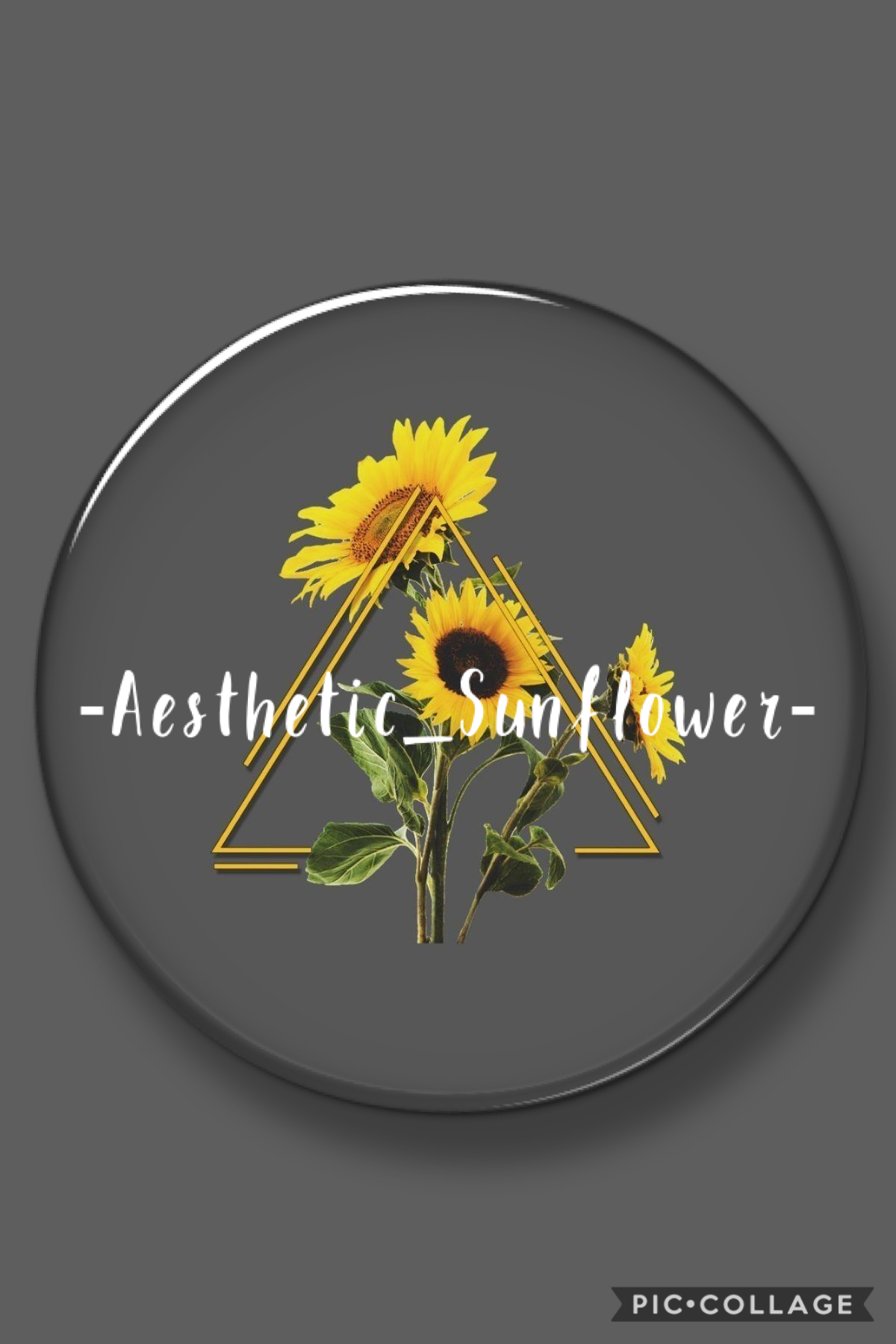 My new iconnnn check out all my accounts they've changed!! Btw I will now be calling my followers "Sunflowers" 🌻🌻🌻