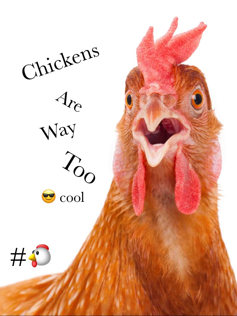 Chickens aRe way to cool for us -Abird