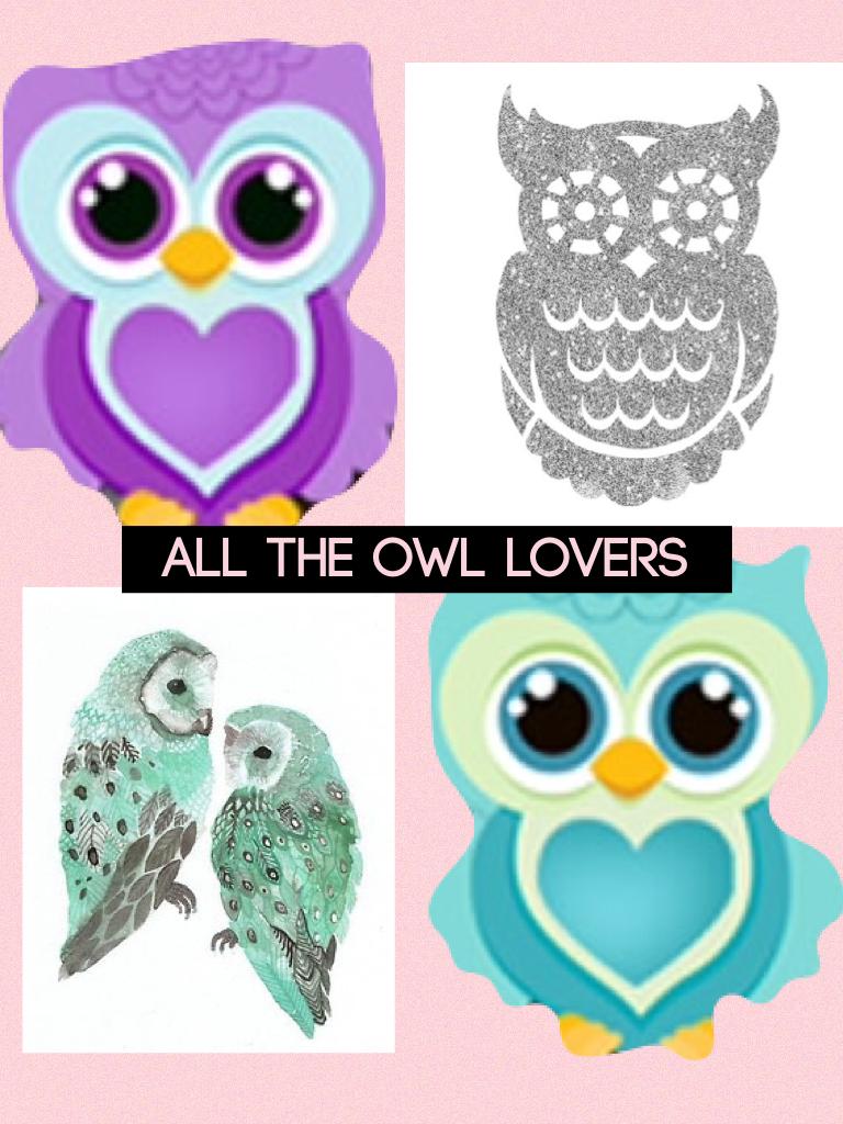 All the owl lovers