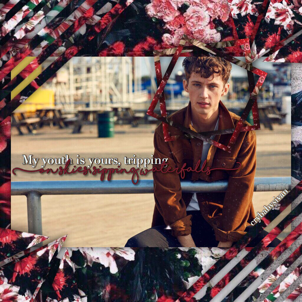 Troye ❤️❤️❤️❤️ Sorry for being so inactive lately 