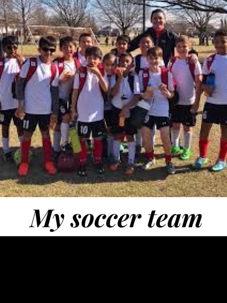 My soccer team
