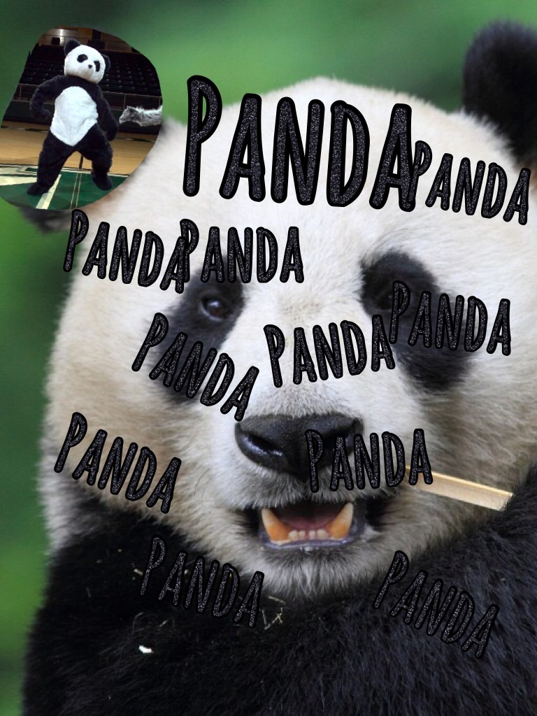 Panda panda song 🐼 🐼🐼🐼🐼🐼🐼🐼🐼🐼🐼🐼🐼🐼🐼🐼🐼🐼🐼🐼🐼🐼🐼🐼🐼🤘dope
