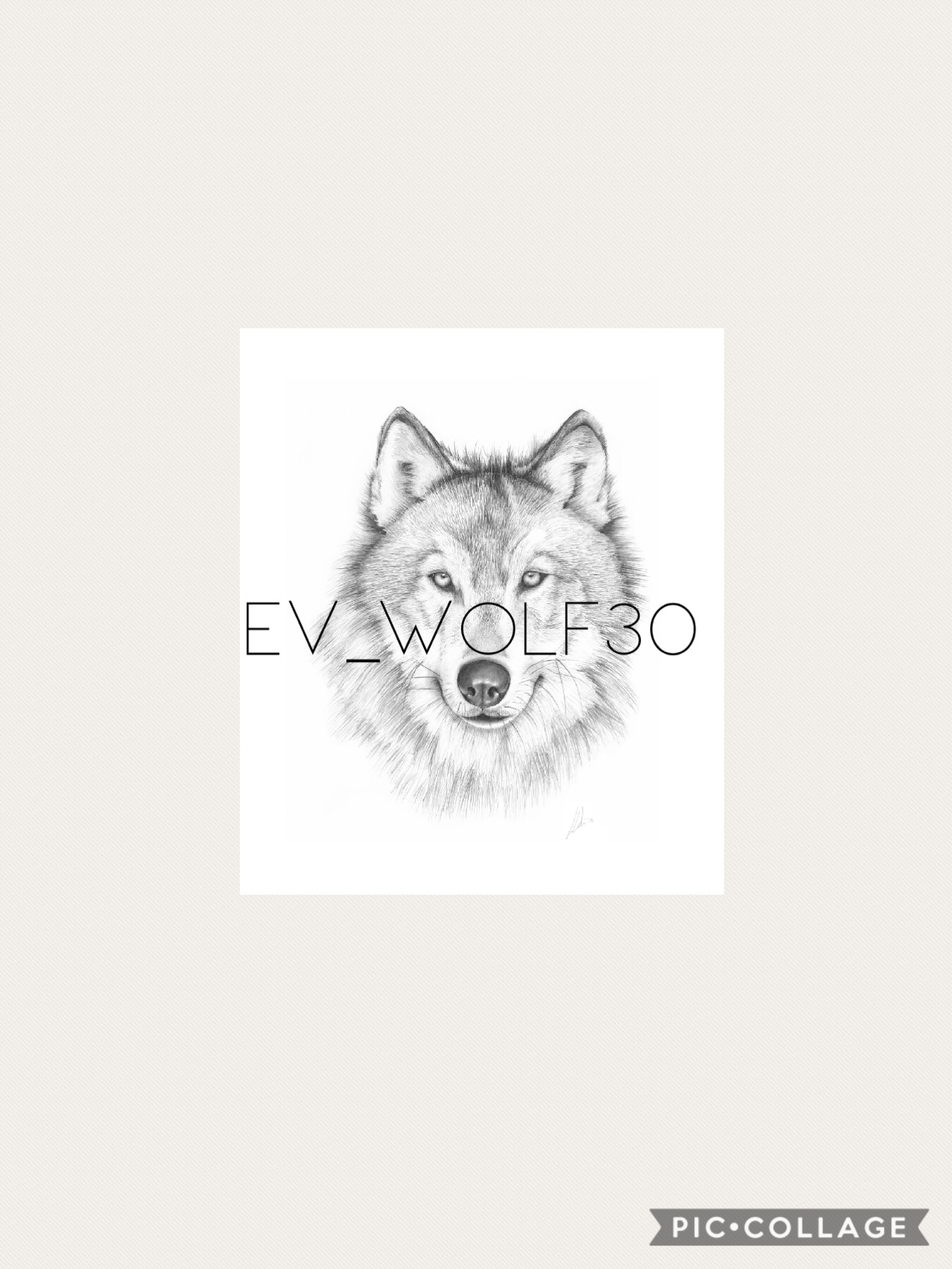 Follow my Wattpad account! Ev_Wolf30!!! 