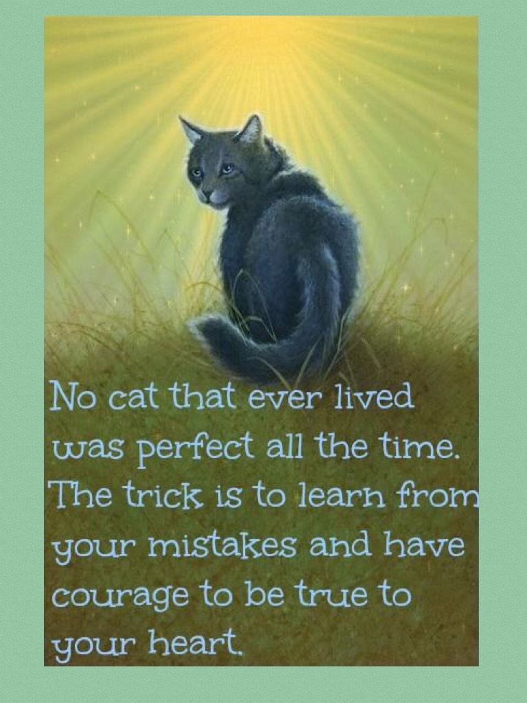 Warrior Cats: Remember, nobody is perfect, but you have the courage to face whatever you're going through!!