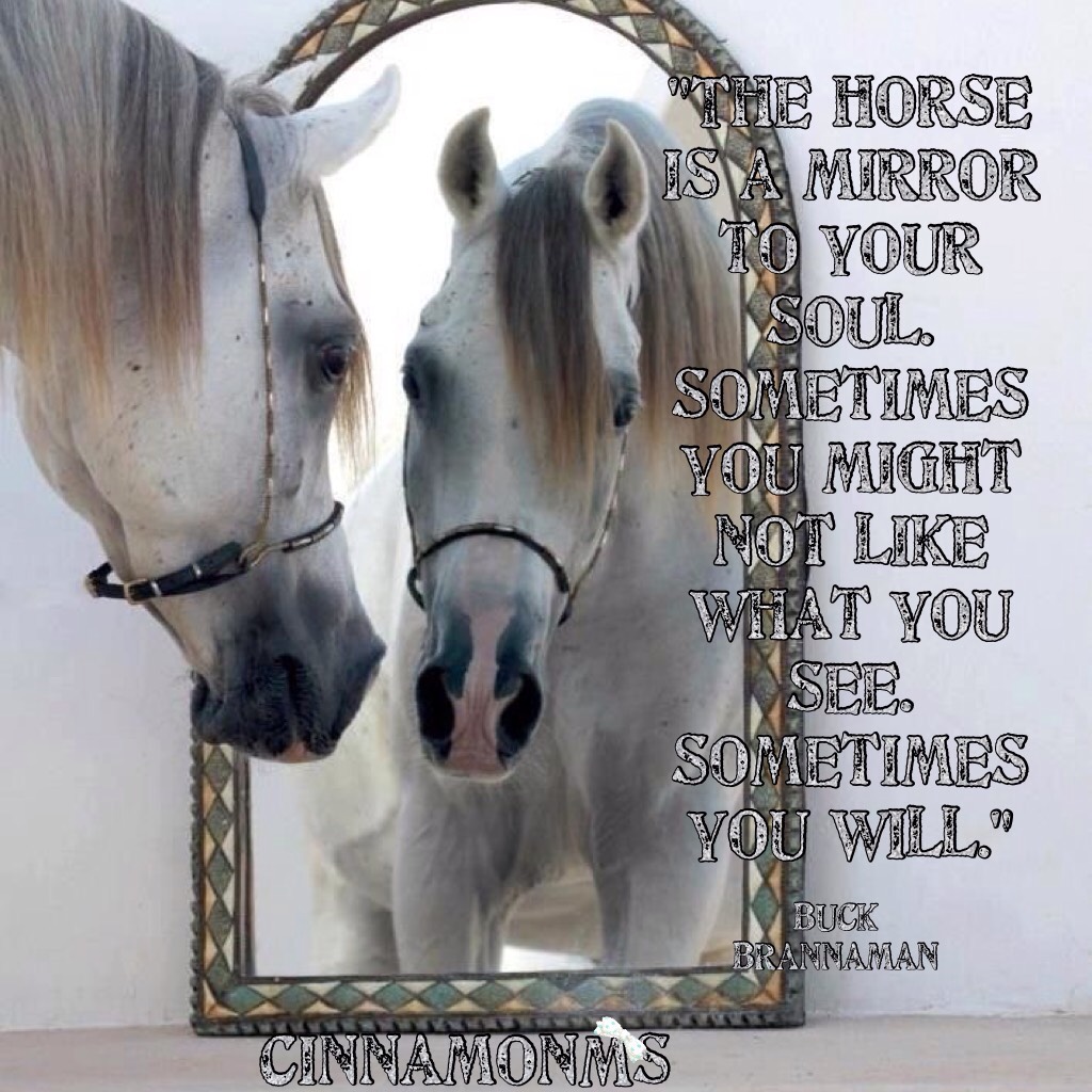 Horse, A Mirror To Your Soul