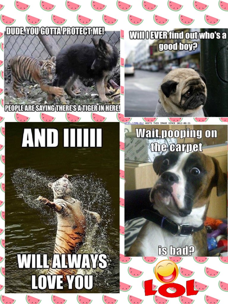 Beware of the doggies!!!!! 💩💩💩