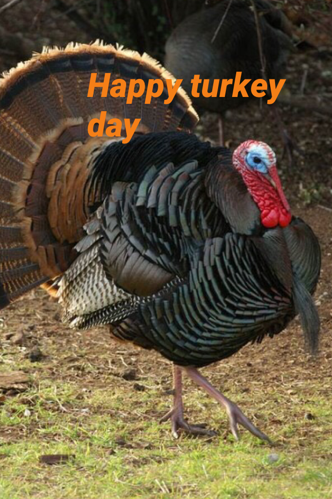 Happy turkey day