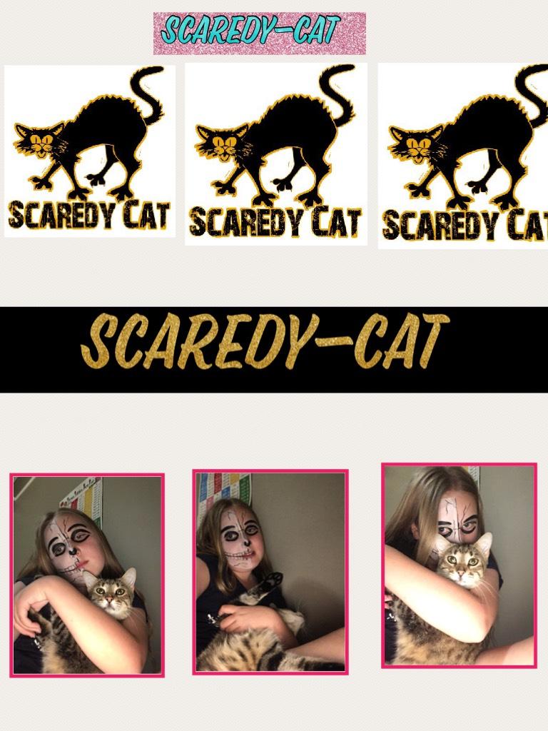 Scaredy-cat