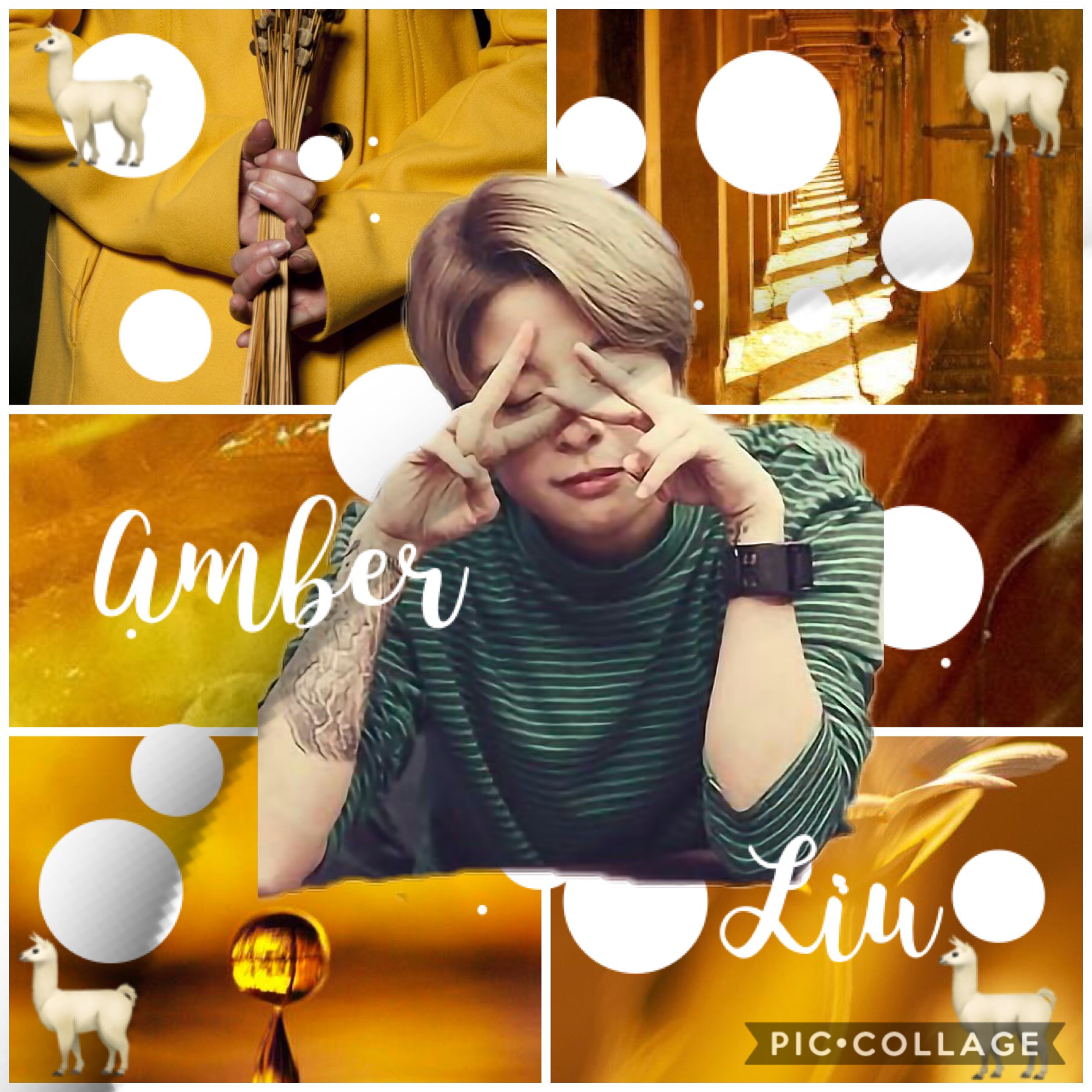 🦙Amber Liu🦙

Has anyone ever been to a convention? I’m going to Con Alt Delete and idk what to expect (its an anime con if u were wondering)