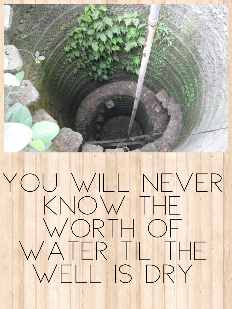 You will never know the worth of water til the well is dry