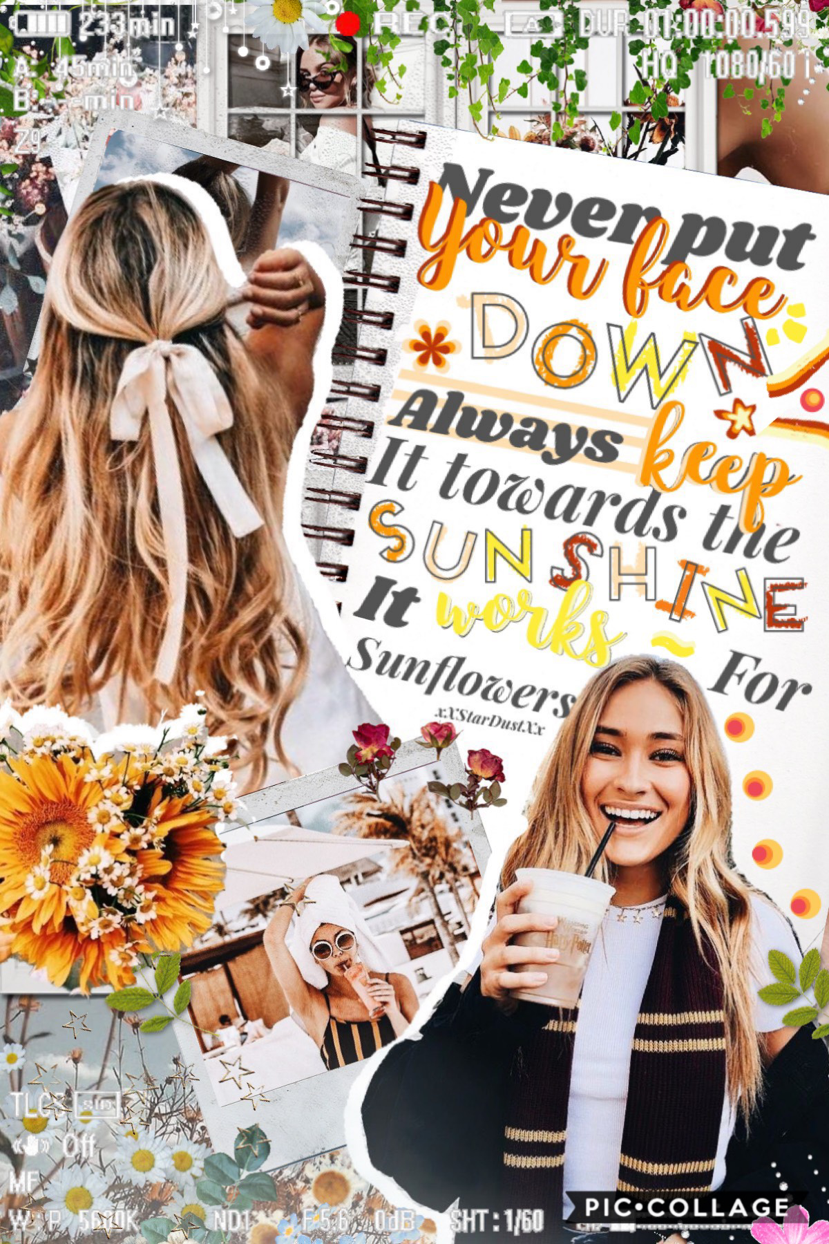  🌻 tap🌻 
Ahhh thank you so much for the feature✨♥️💕💗🎉🎊
I love you all and thank you for the support 🙏 
Have a great summer 🏖 🏝 
QOTD-favorite flower 🌸 🌺 🌹 
AOTD-Sunflower 🌻🌻🌻♥️💕✨💗