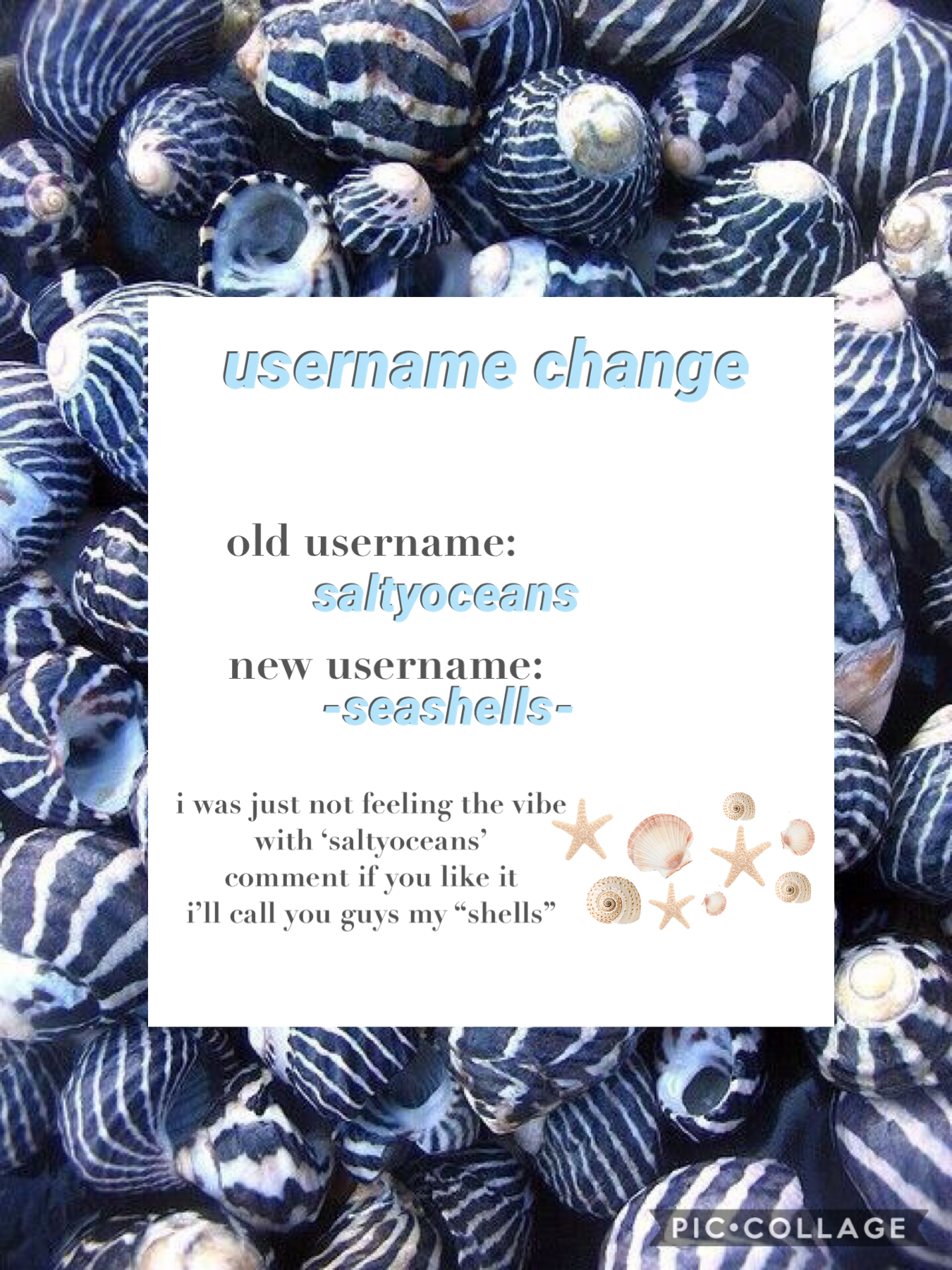 -username change-