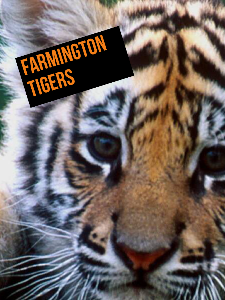 Click here
Farmington tigers