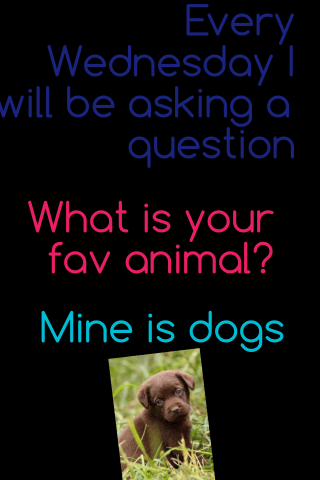 What is your fav animal?