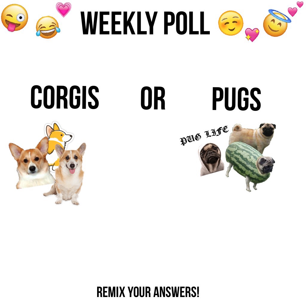 I guess I'm doing weekly polls now...😂