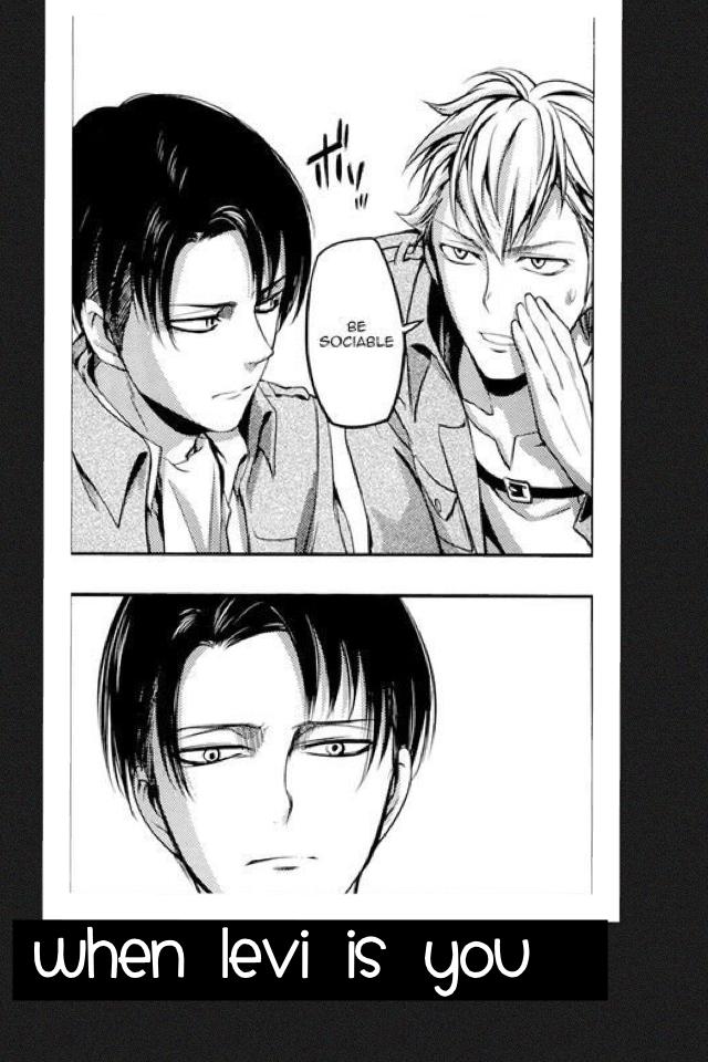 When Levi is you