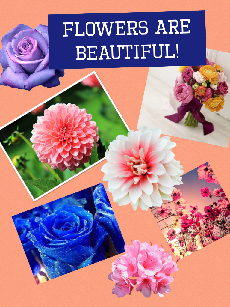 Flowers are beautiful!