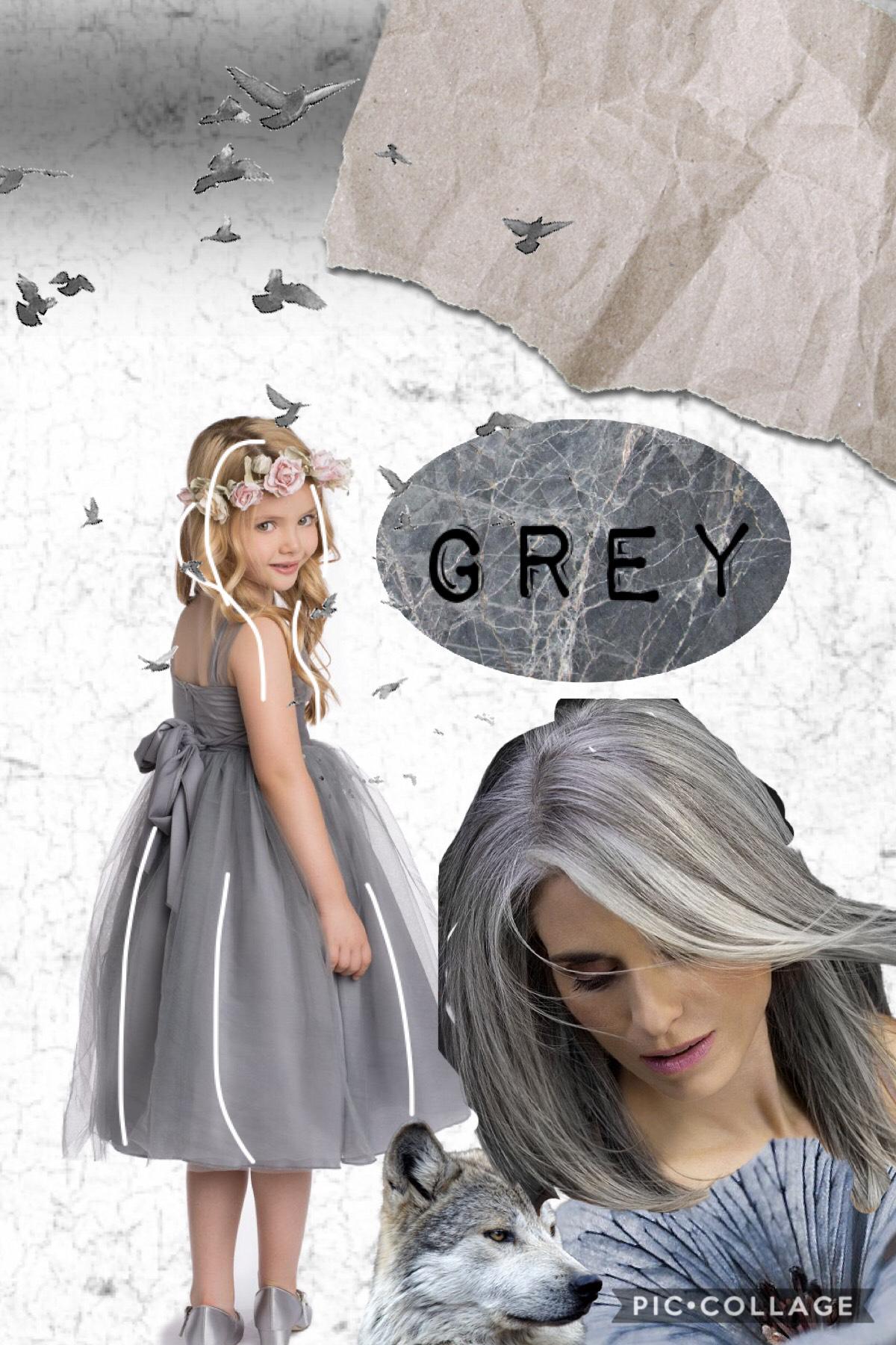 Grey 🌪 