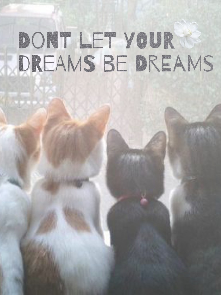 Dont let your Dreams be dreams 