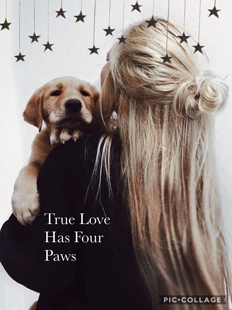 True Love Has Four Paws #piccollage