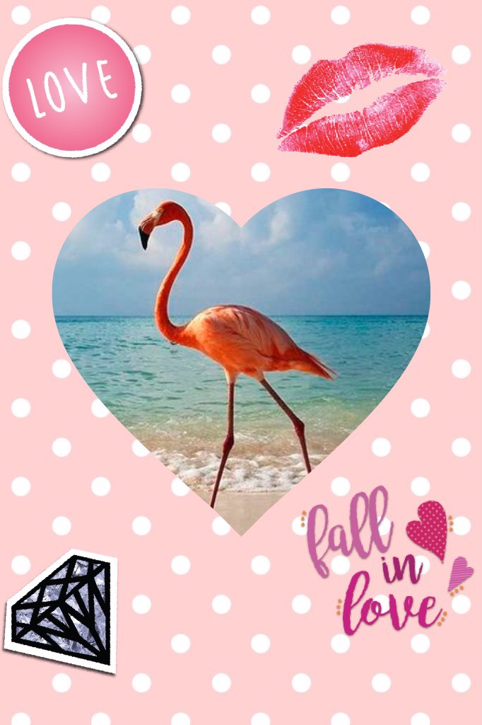 Keep Calm and Love
       Flamingos!!