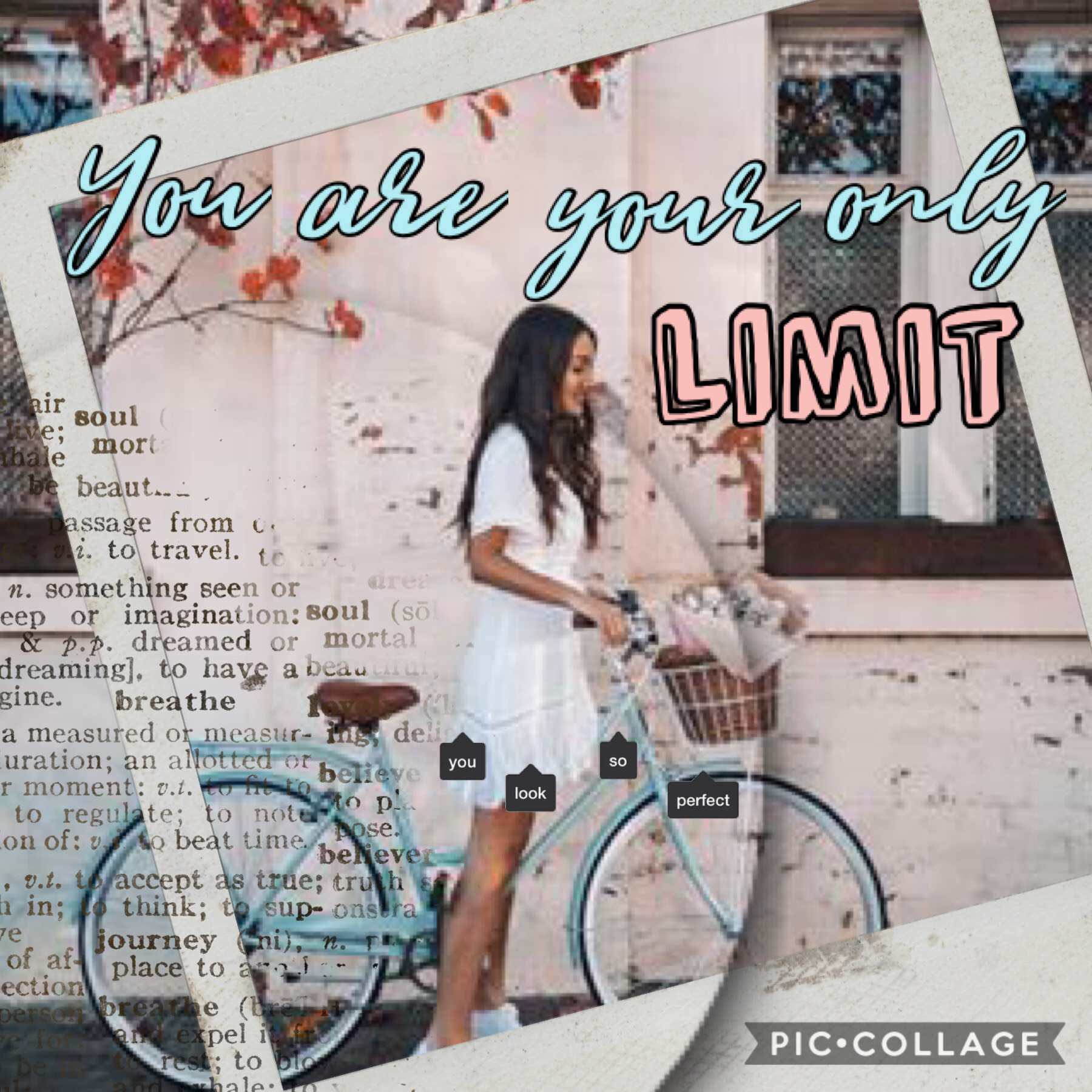 you are your only limit 