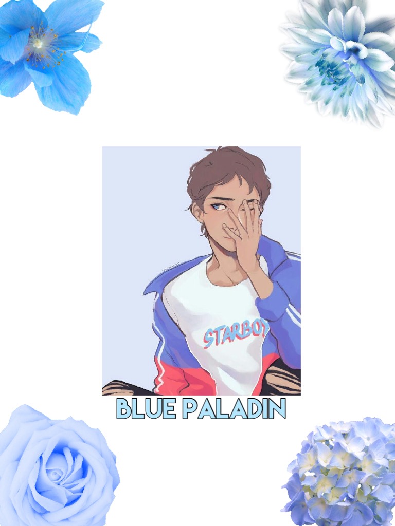Blue Paladin