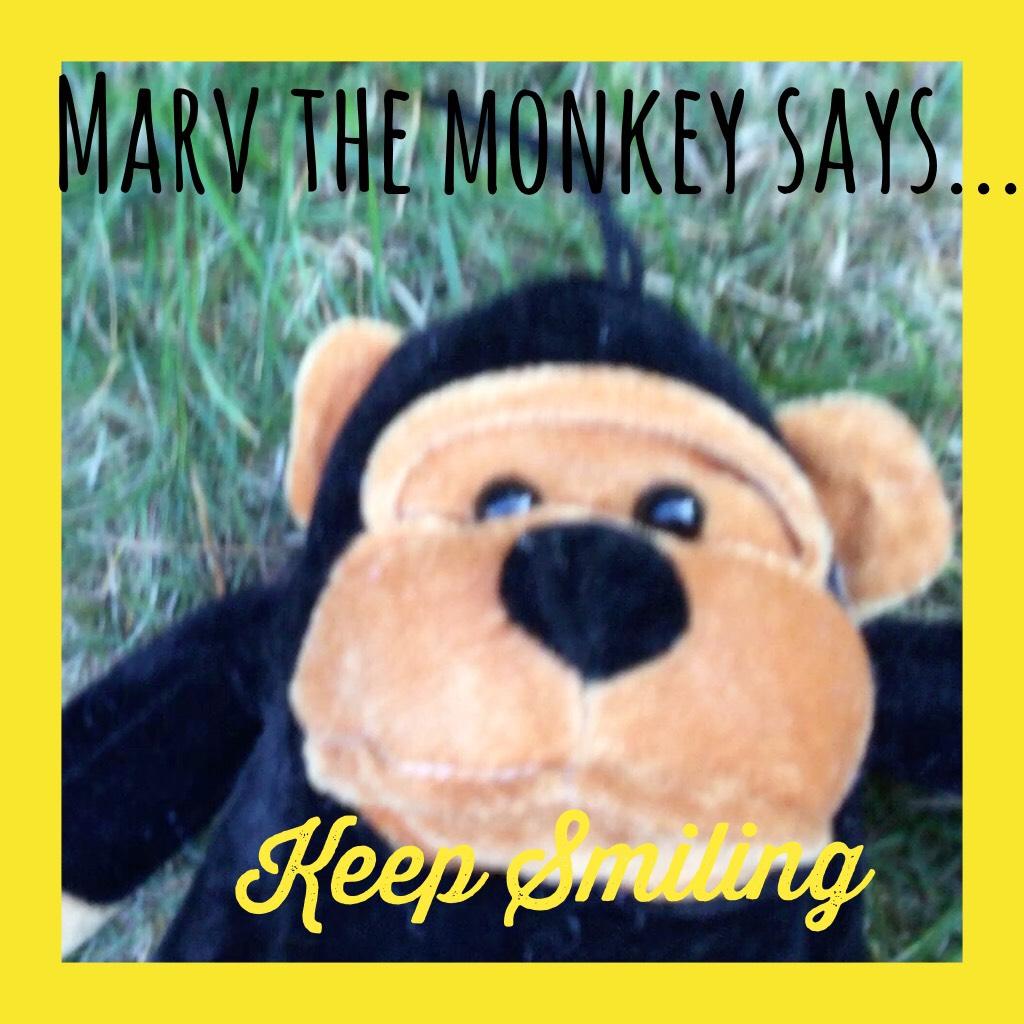 Marv the monkey 