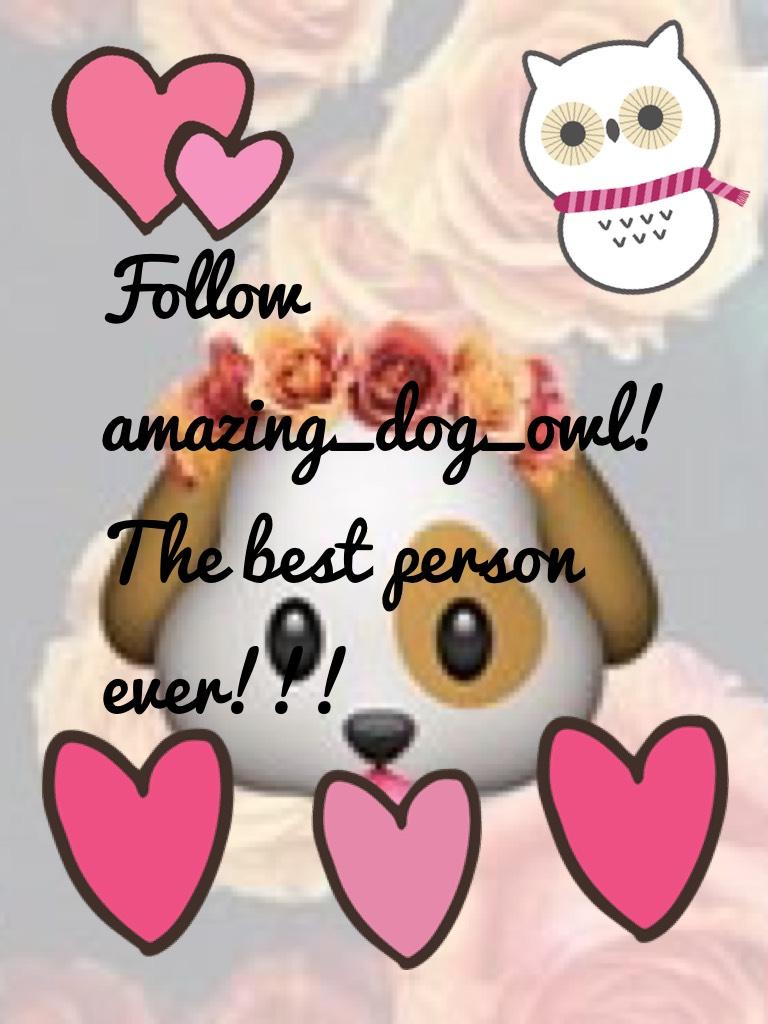 Follow amazing_dog_owl! 🐶 🦉 